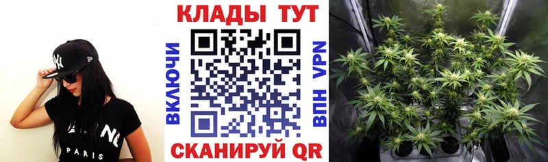 Виды наркоты Новотитаровская КОКАИН АМФ ГАШ KRAKEN СОЛЬ